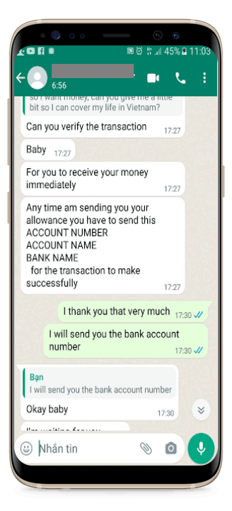 VN_scam1.png